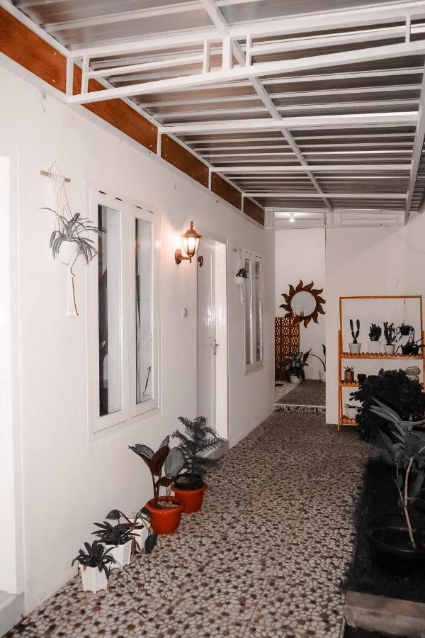 Tropical Paradiso Homestay Banyuwangi  Dış mekan fotoğraf