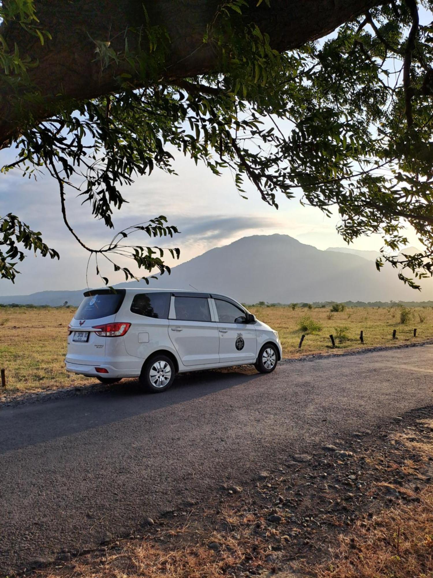 Tropical Paradiso Homestay Banyuwangi  Dış mekan fotoğraf